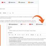 Auto-Translate Catalogue: New Feature Available on Solvoz.com