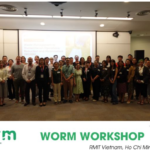 WORM Catalogue Post-Launch Update: Exciting Opportunities Ahead!