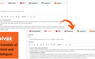 Auto-Translate Catalogue: New Feature Available on Solvoz.com