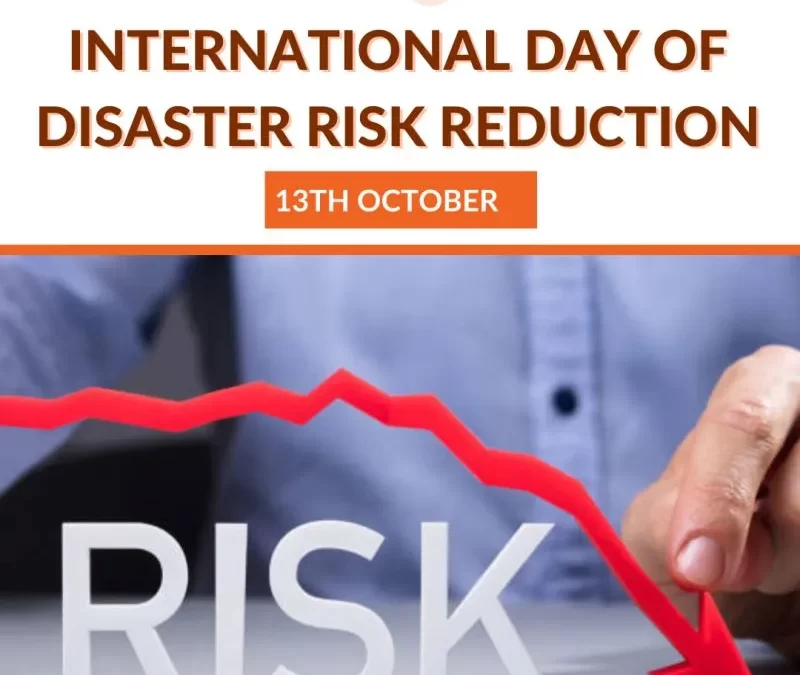International day of Disaster Risk Reduction 2022
